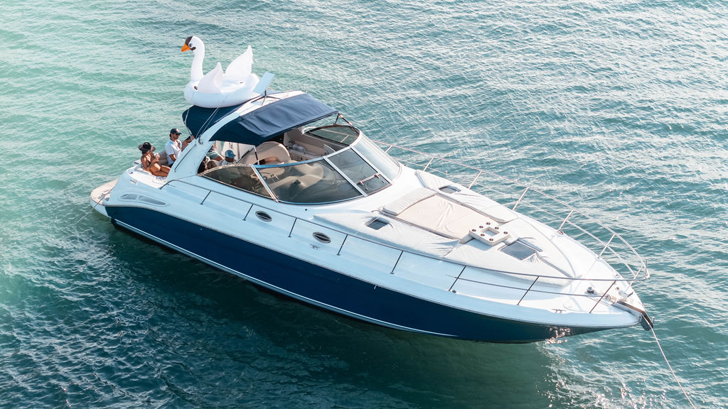45ft Sea Ray Sundancer yacht rental Miami - stern swim platform with water access for snorkeling